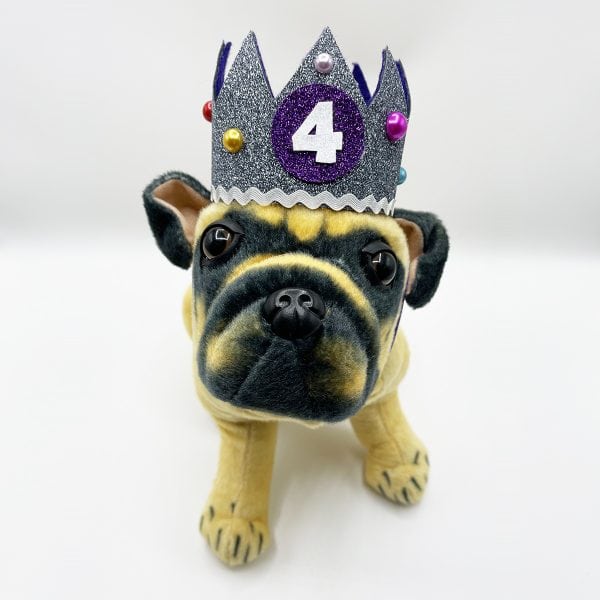 birthday crown model front